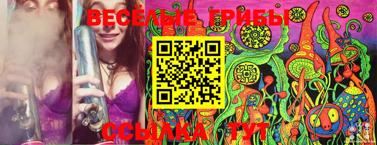 Псилоцибиновые грибы Cubensis  Вход с VPN  Феодосия 